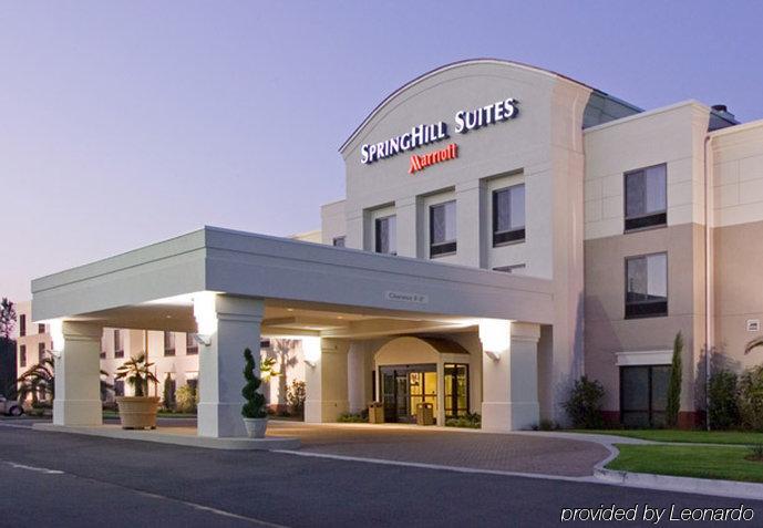 Springhill Suites By Marriott Κόρπους Κρίστι Εξωτερικό φωτογραφία